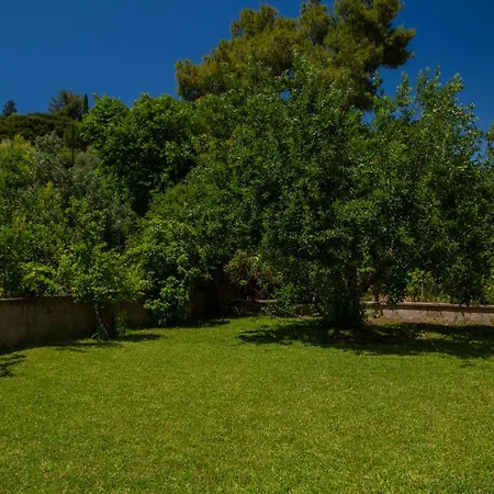 Lygia Apartment *
